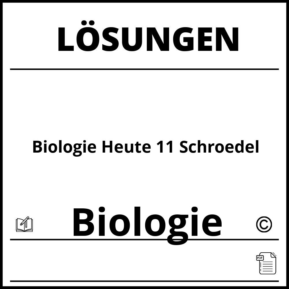 Biologie Heute 11 Schroedel Lösungen Pdf