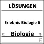 Erlebnis Biologie 6 Lösungen Pdf