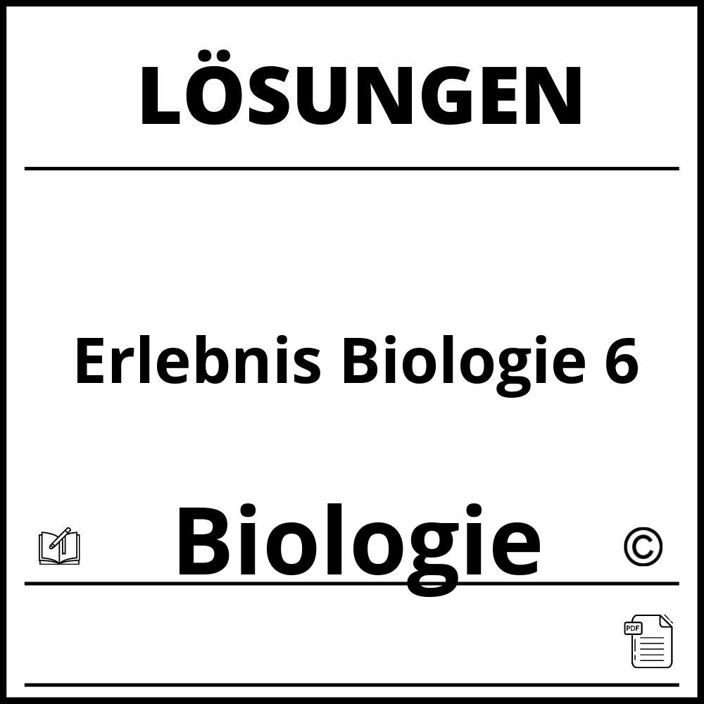 Erlebnis Biologie 6 Lösungen Pdf