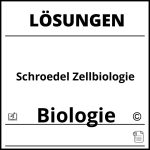 Schroedel Zellbiologie Lösungen Pdf